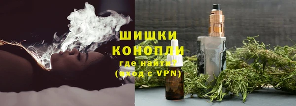 круглые Гусев