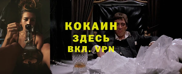 дживик Горняк