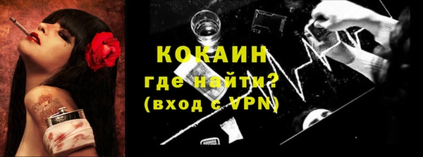 круглые Гусев