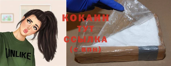 круглые Гусев