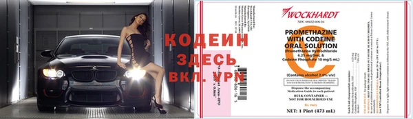 круглые Гусев