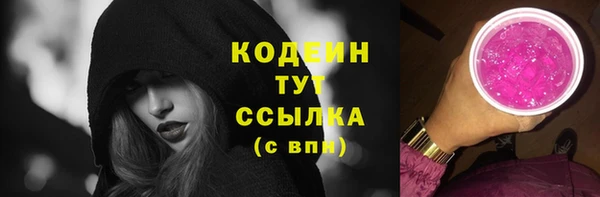 круглые Гусев
