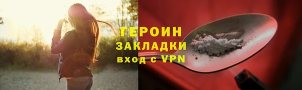 круглые Гусев
